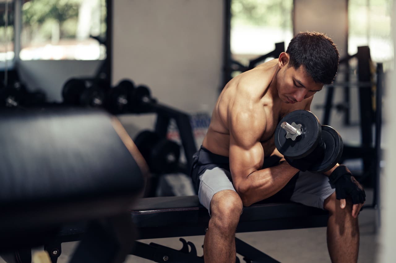 muscular-hypertrophy:-a-beginner's-guide-healthifyme